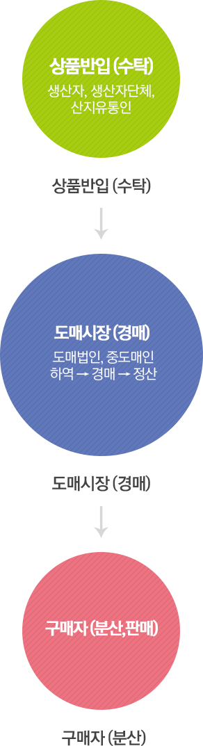 도매시장 거래절차도 이미지